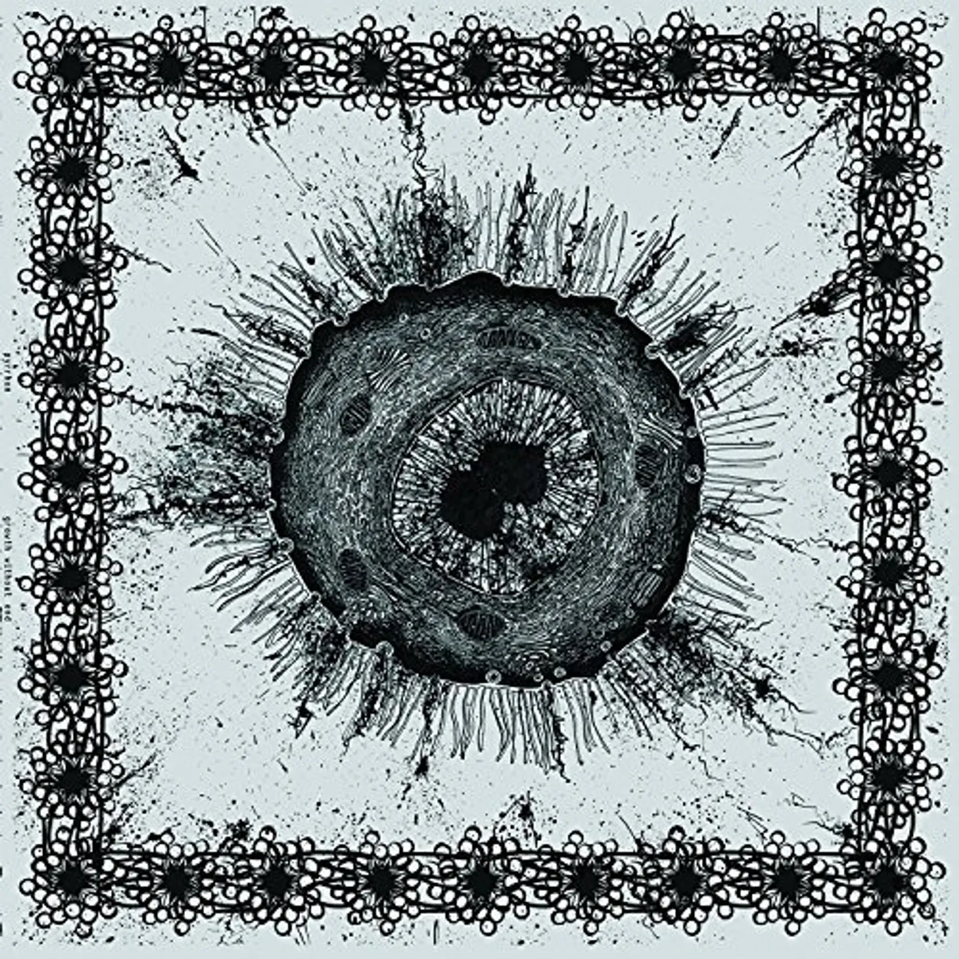 Pyrrhon Growth Without End Vinyl Record