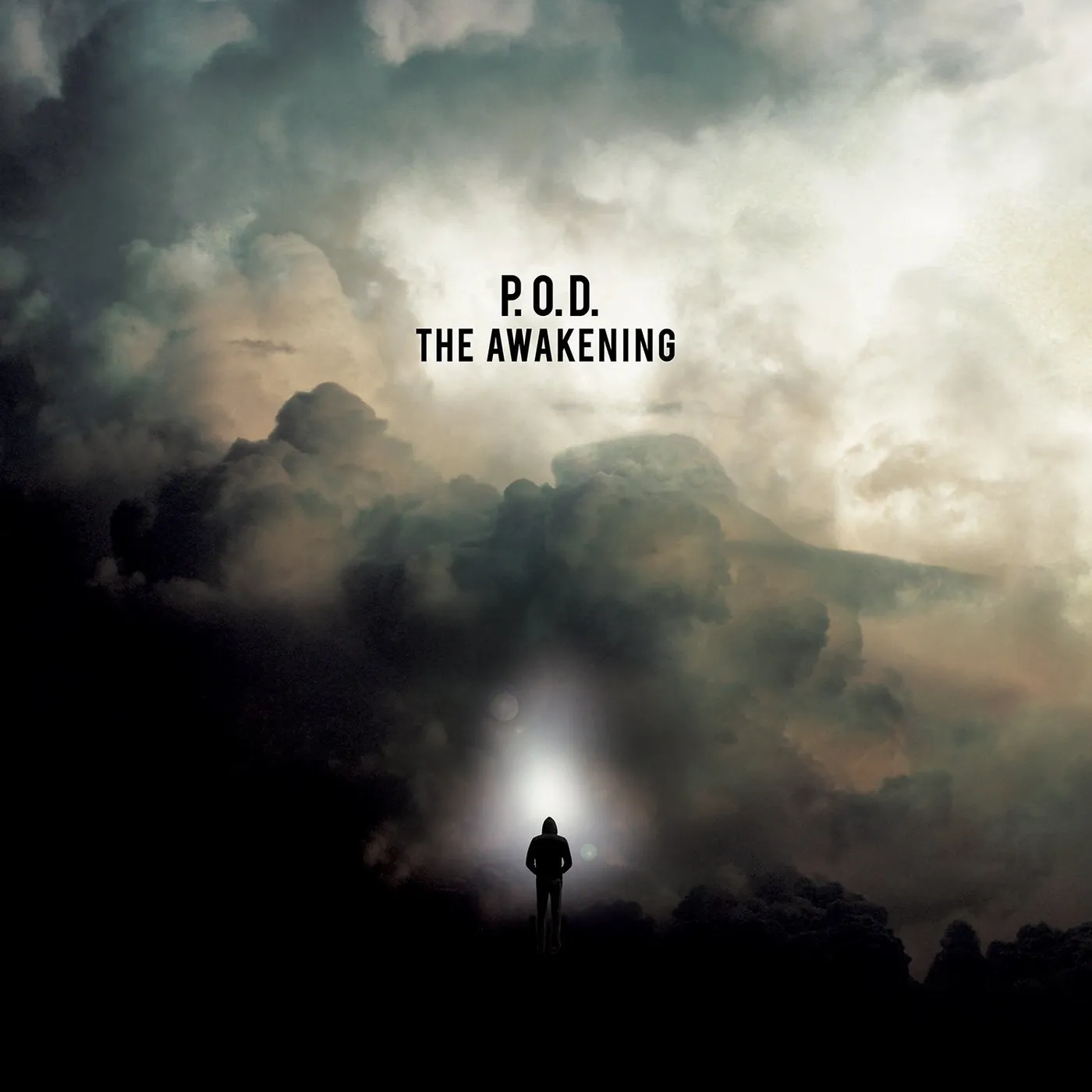 P.O.D. AWAKENING Vinyl Record