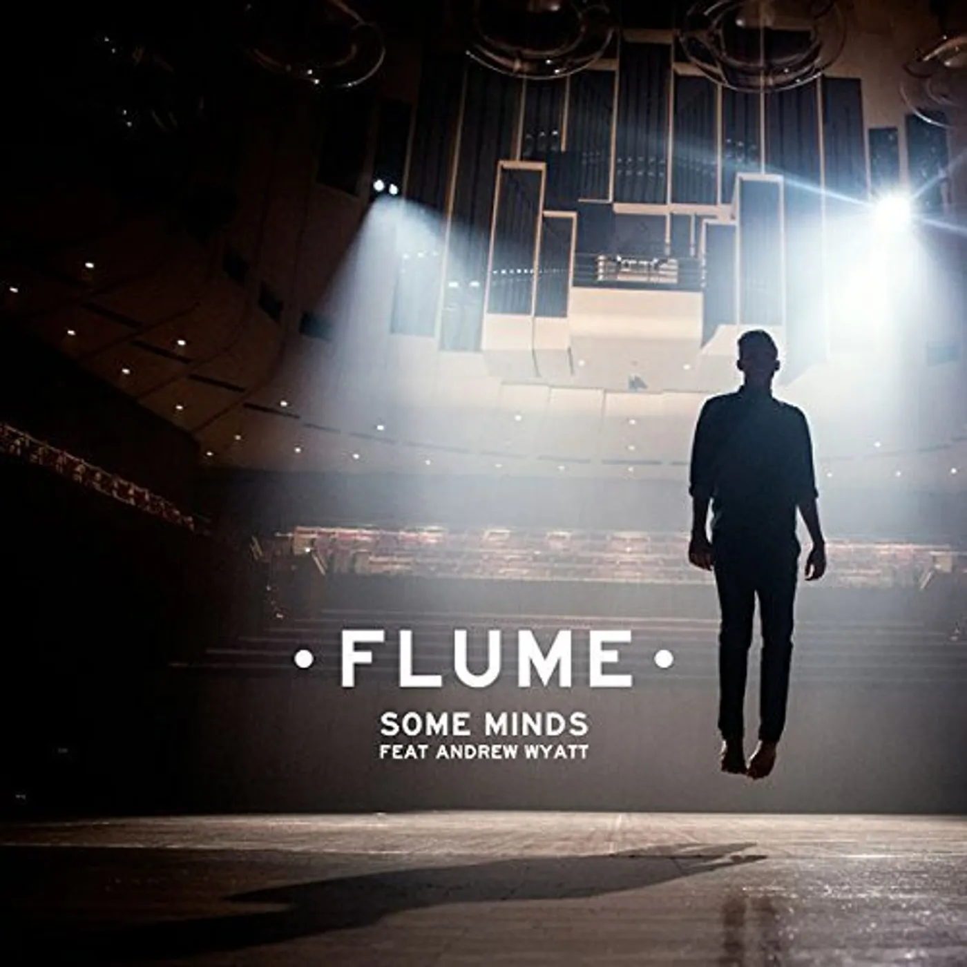 Flume Some Minds Vinyl Record