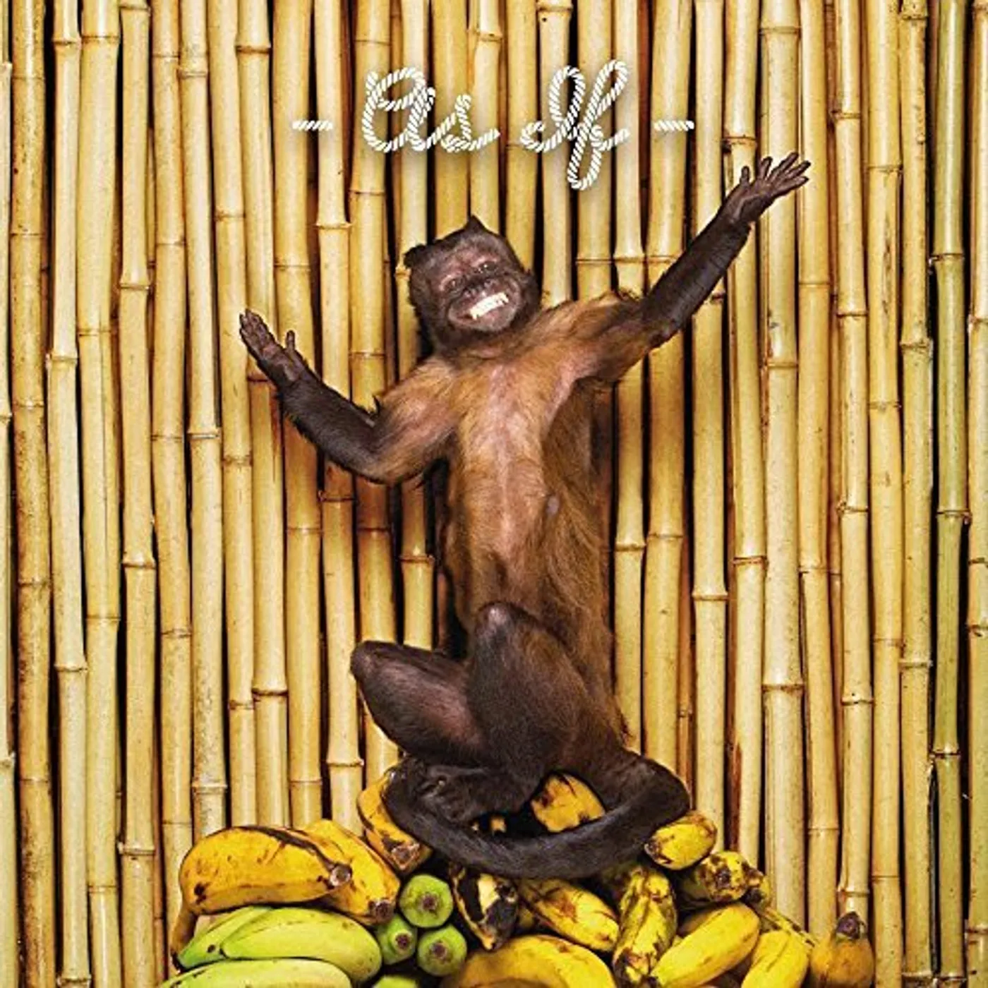 !!! AS IF CD