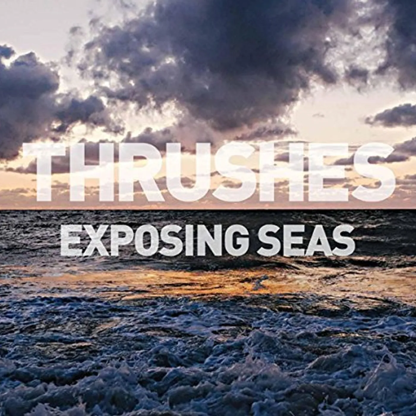 Thrushes EXPOSING SEAS Vinyl Record