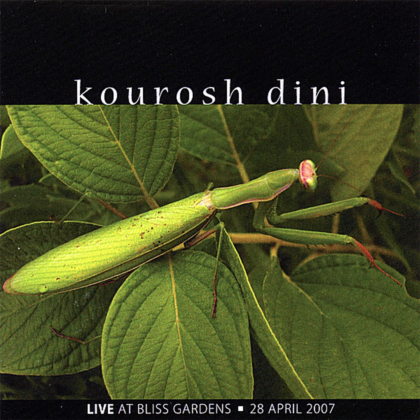 Kourosh Dini LIVE AT BLISS GARDENS CD