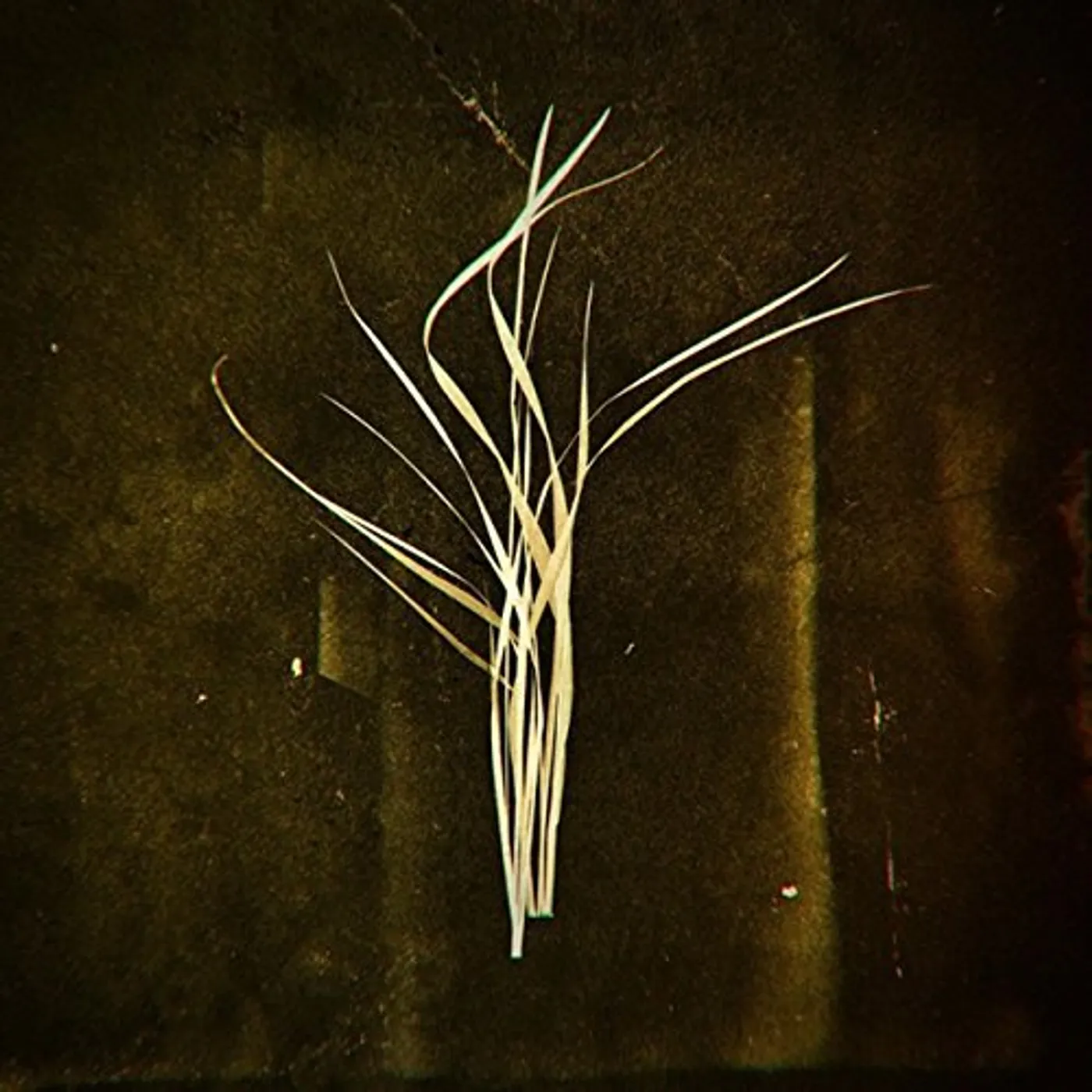 Lumisokea Mnemosyne Vinyl Record