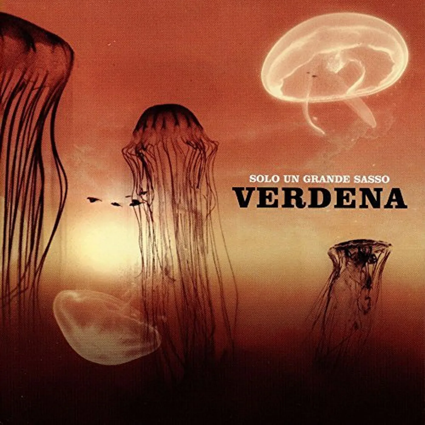 Verdena Solo un grande sasso Vinyl Record