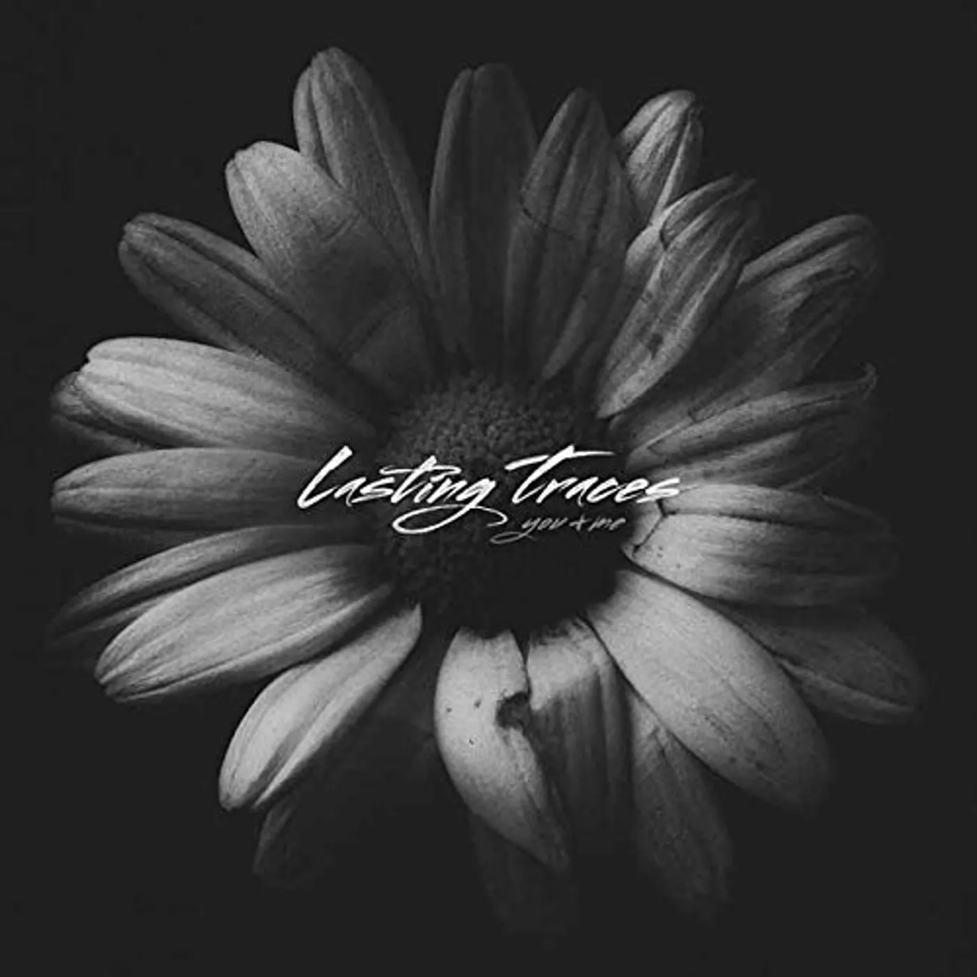 Lasting Traces You + Me Vinyl Record