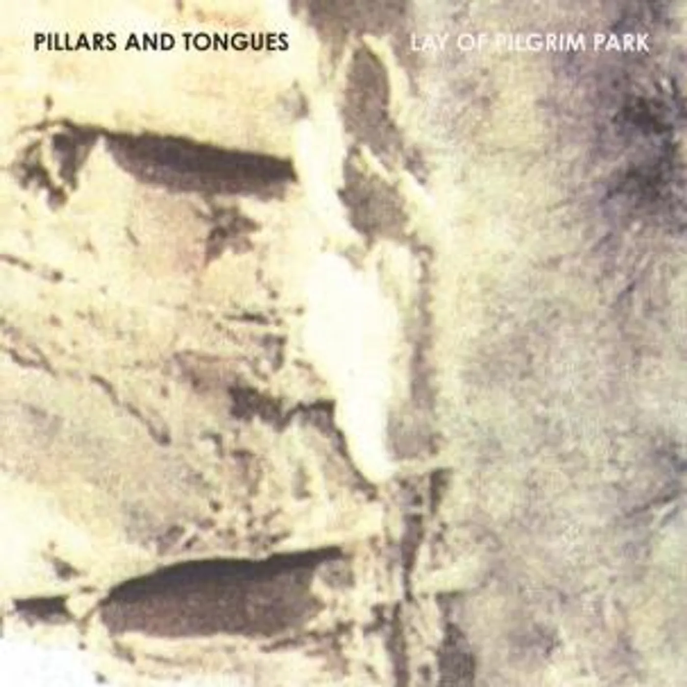 Pillars & Tongues LAY OF PILGRIM PARK Vinyl Record