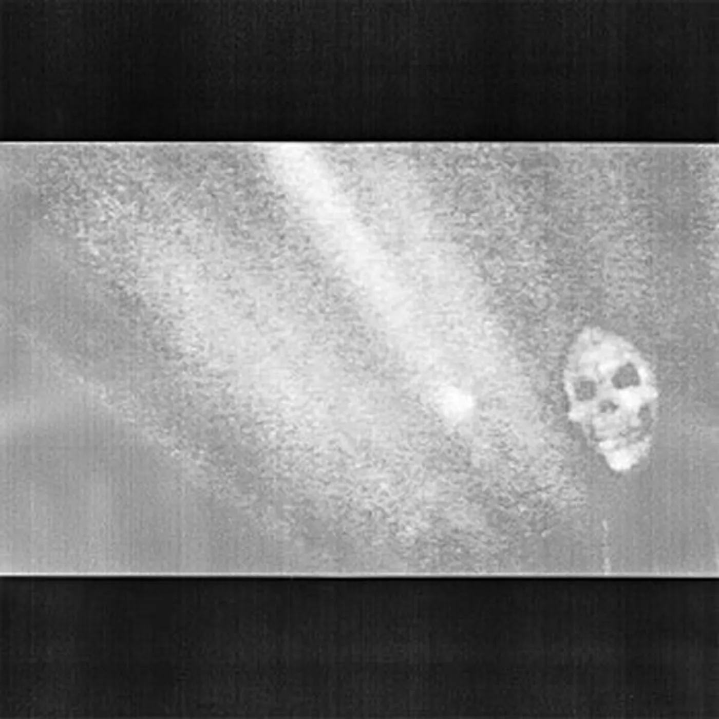 Sealings I'm a Bastard Vinyl Record