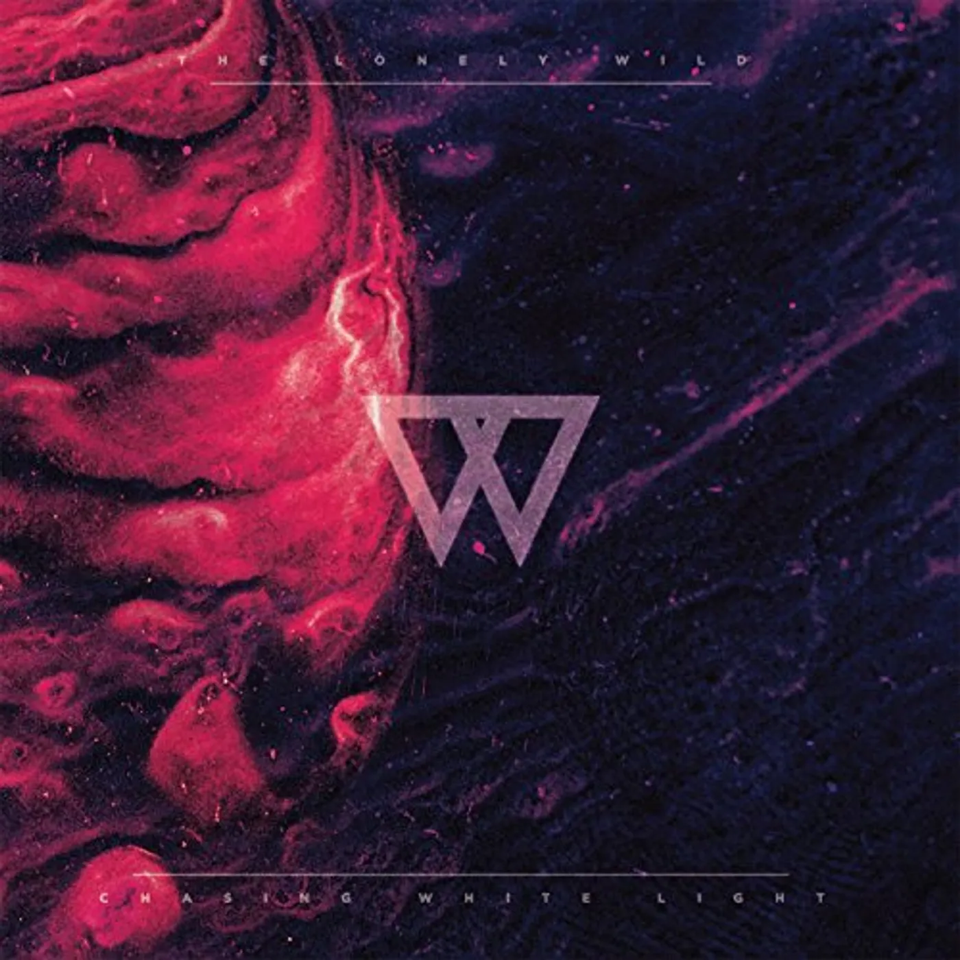 The Lonely Wild CHASING WHITE LIGHT CD