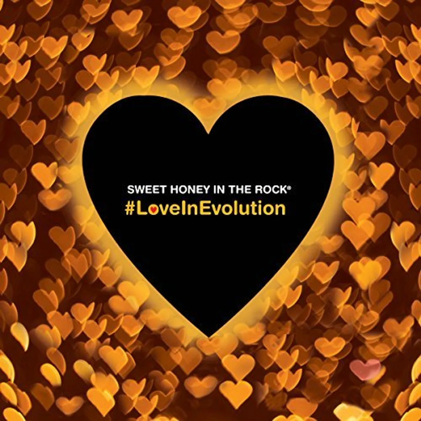 Sweet Honey In The Rock LOVEINEVOLUTION CD