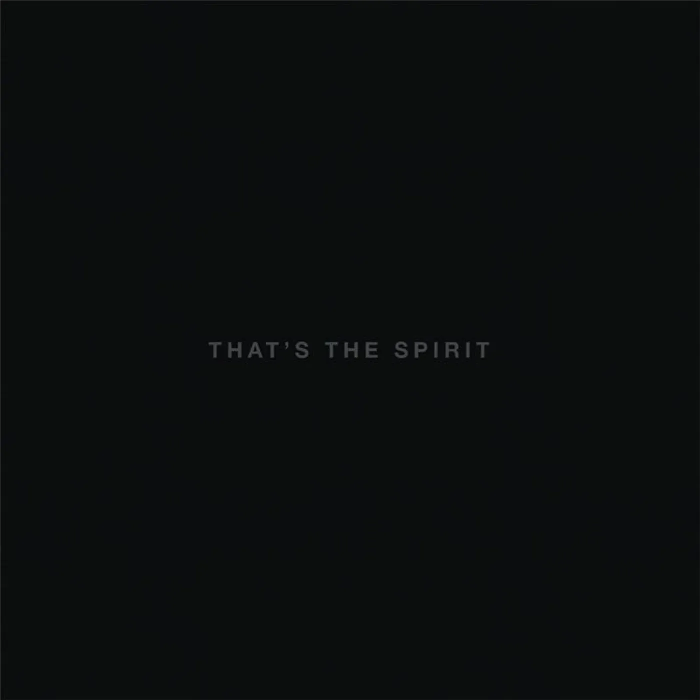 Bring Me The Horizon That's The Spirit Vinyl Record