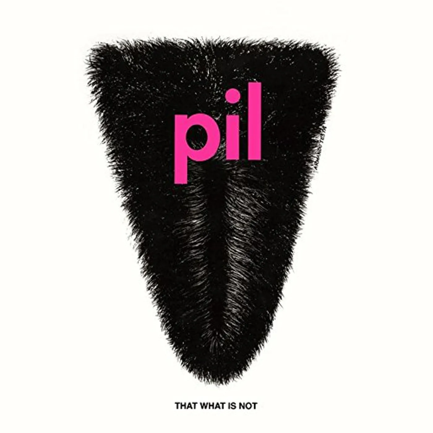 P.I.L. THAT WHAT IS NOT CD