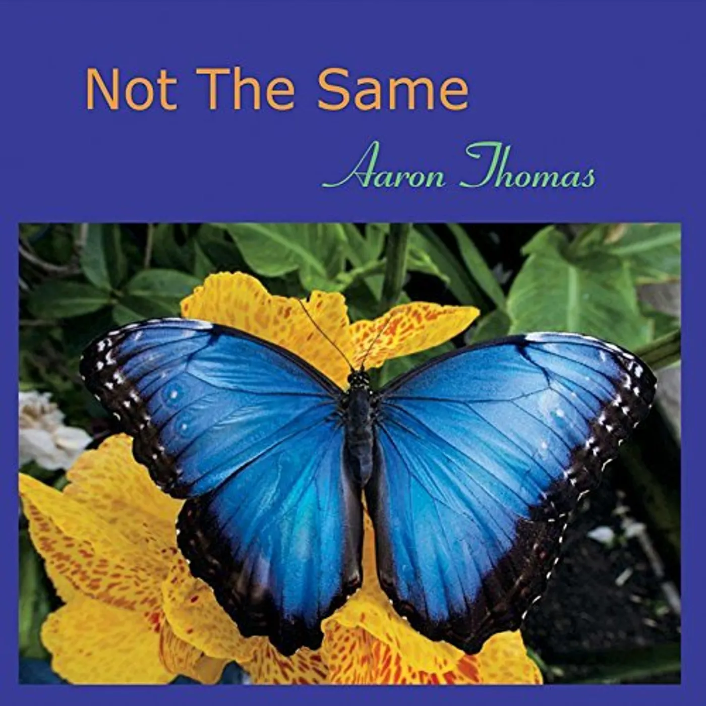 Aaron Thomas NOT THE SAME CD