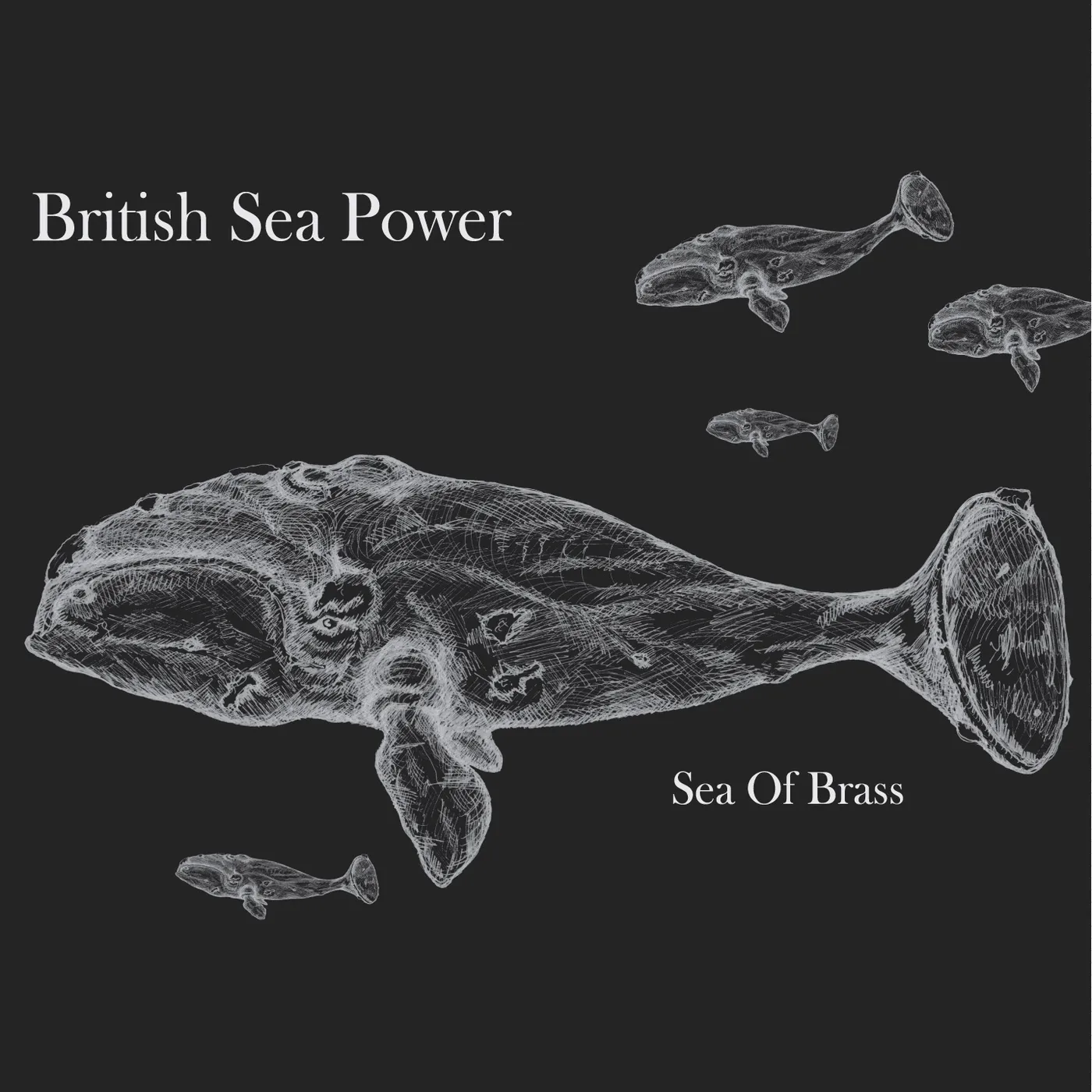 British Sea Power Sea of Brass Vinyl Record