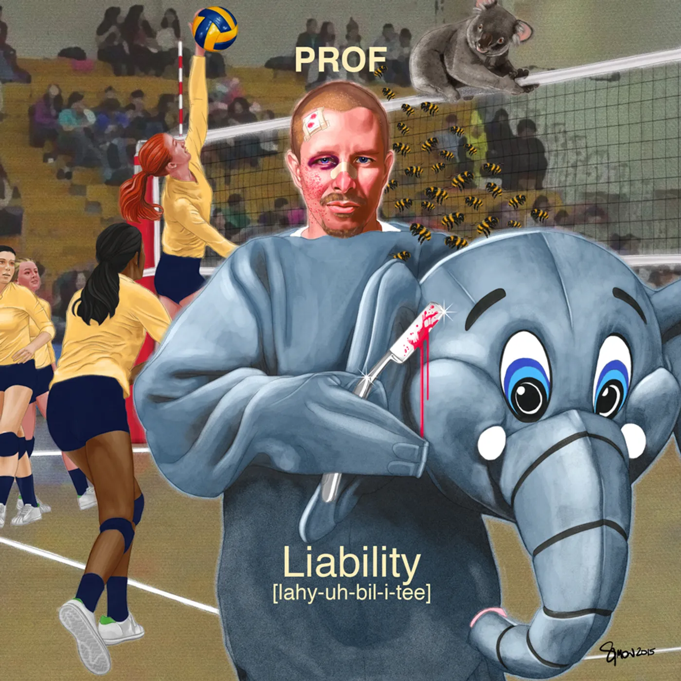 Prof LIABILITY CD