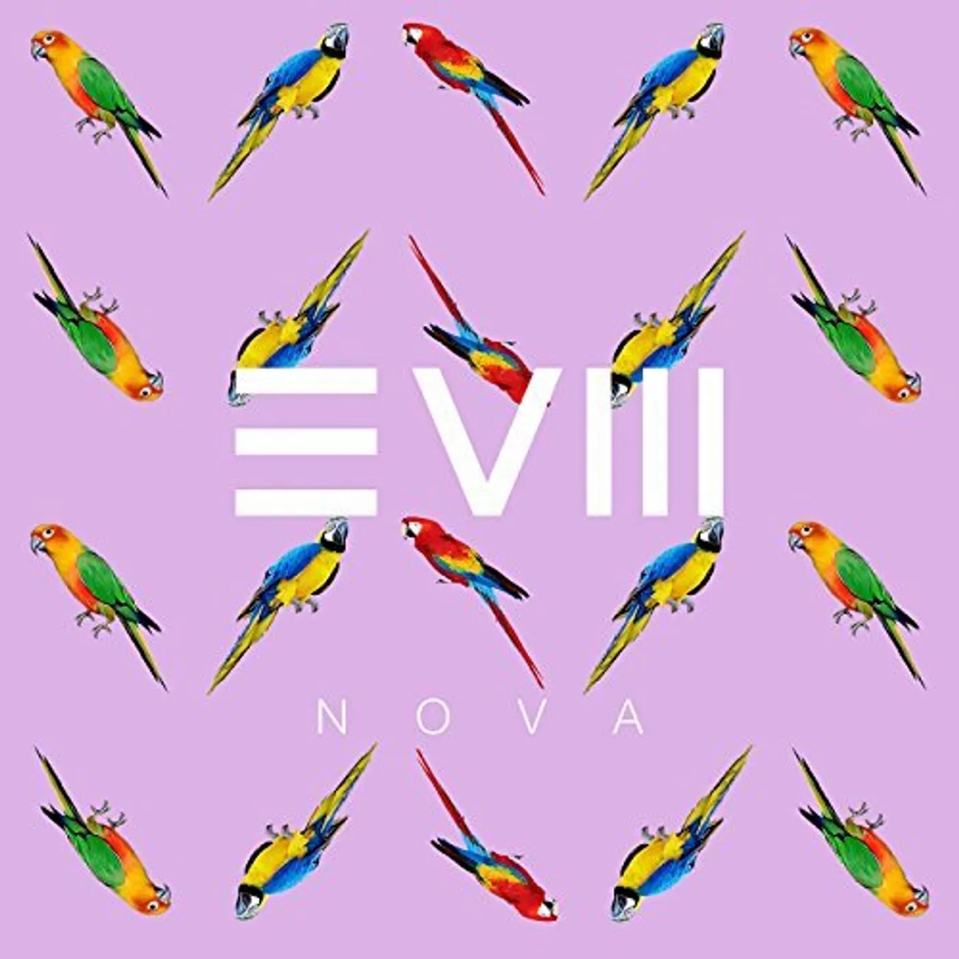EVM128 Nova Vinyl Record