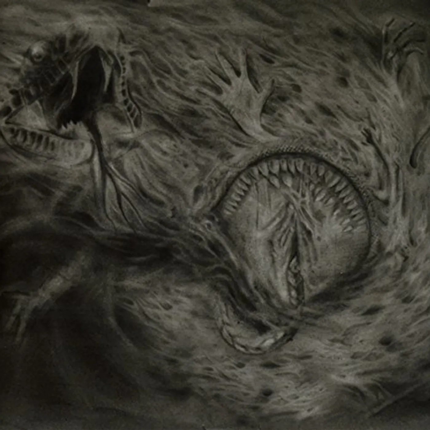 Nidsang Into the Womb of Dissolving Flames Vinyl Record