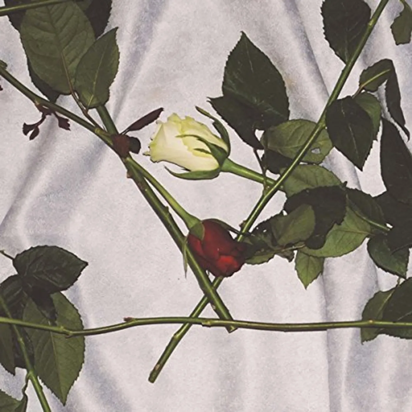 Chain of Flowers Vinyl Record