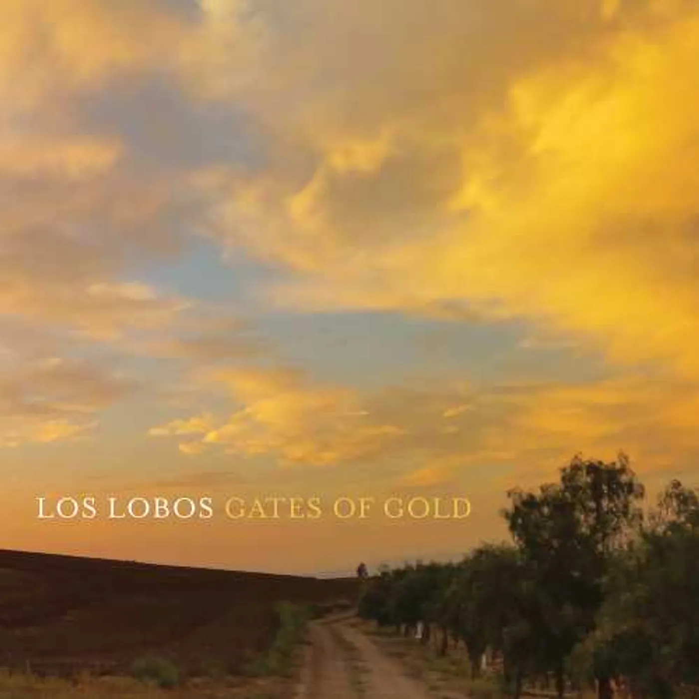 Los Lobos Gates of Gold Vinyl Record