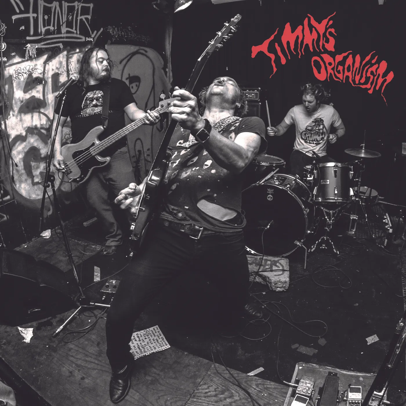 Timmy's Organism GET UP GET OUT Vinyl Record