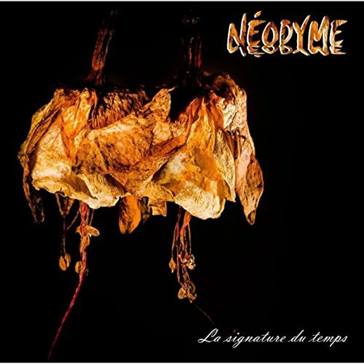 Neodyme LA SIGNATURE DU TEMPS CD