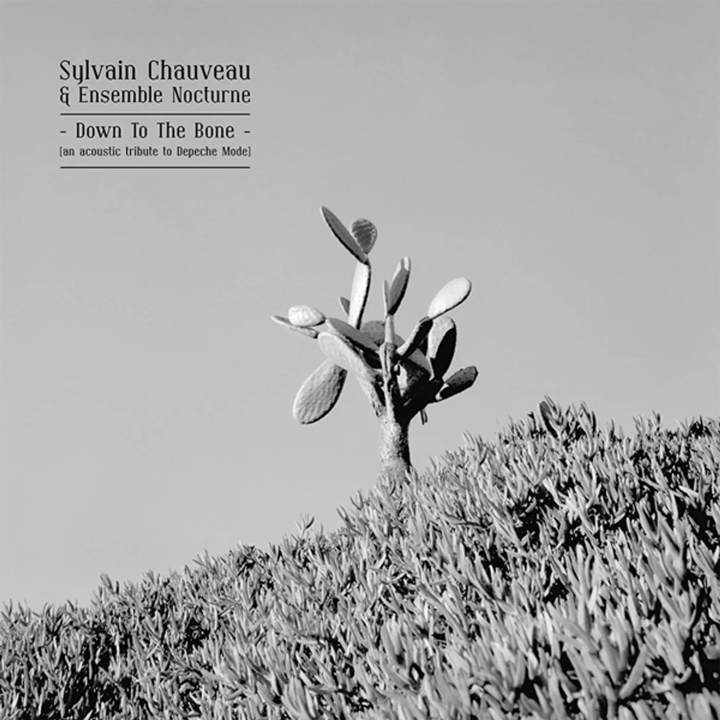 Sylvain Chauveau DOWN TO THE BONE: ACOUSTIC TRIBUTE TO DEPECHE MODE Vinyl Record