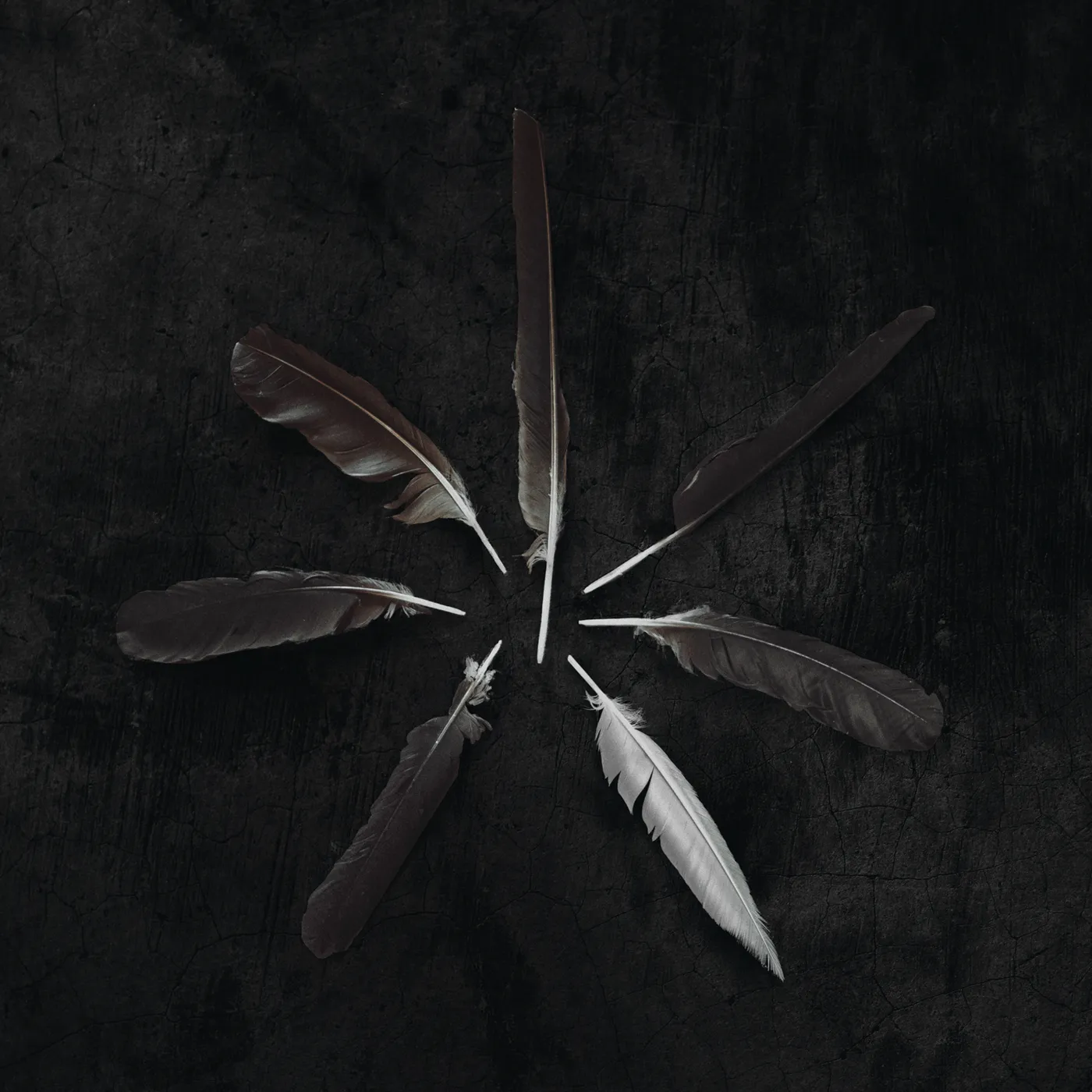 Caspian DUST AND DISQUIET CD