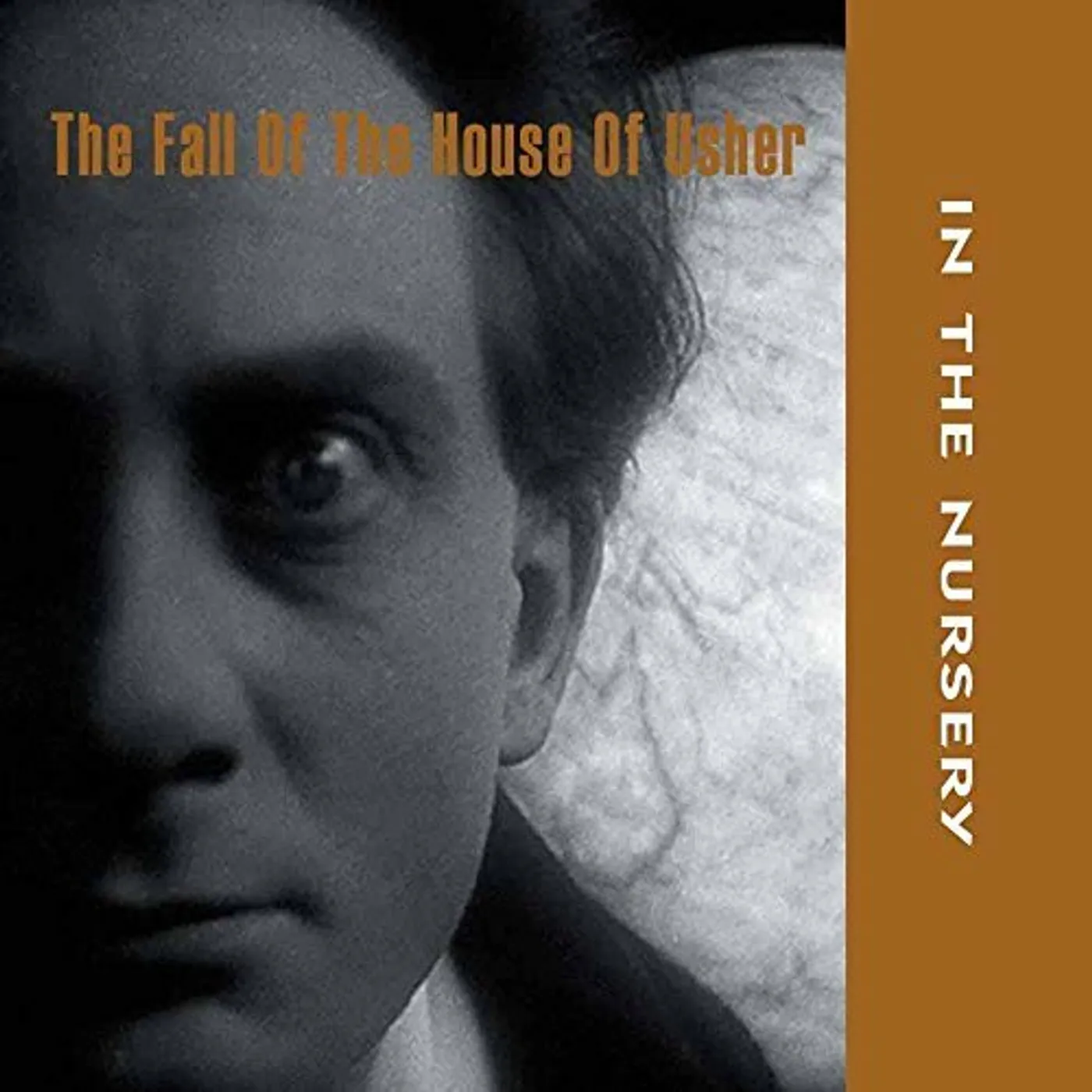 In The Nursery FALL OF THE HOUSE OF USHER CD