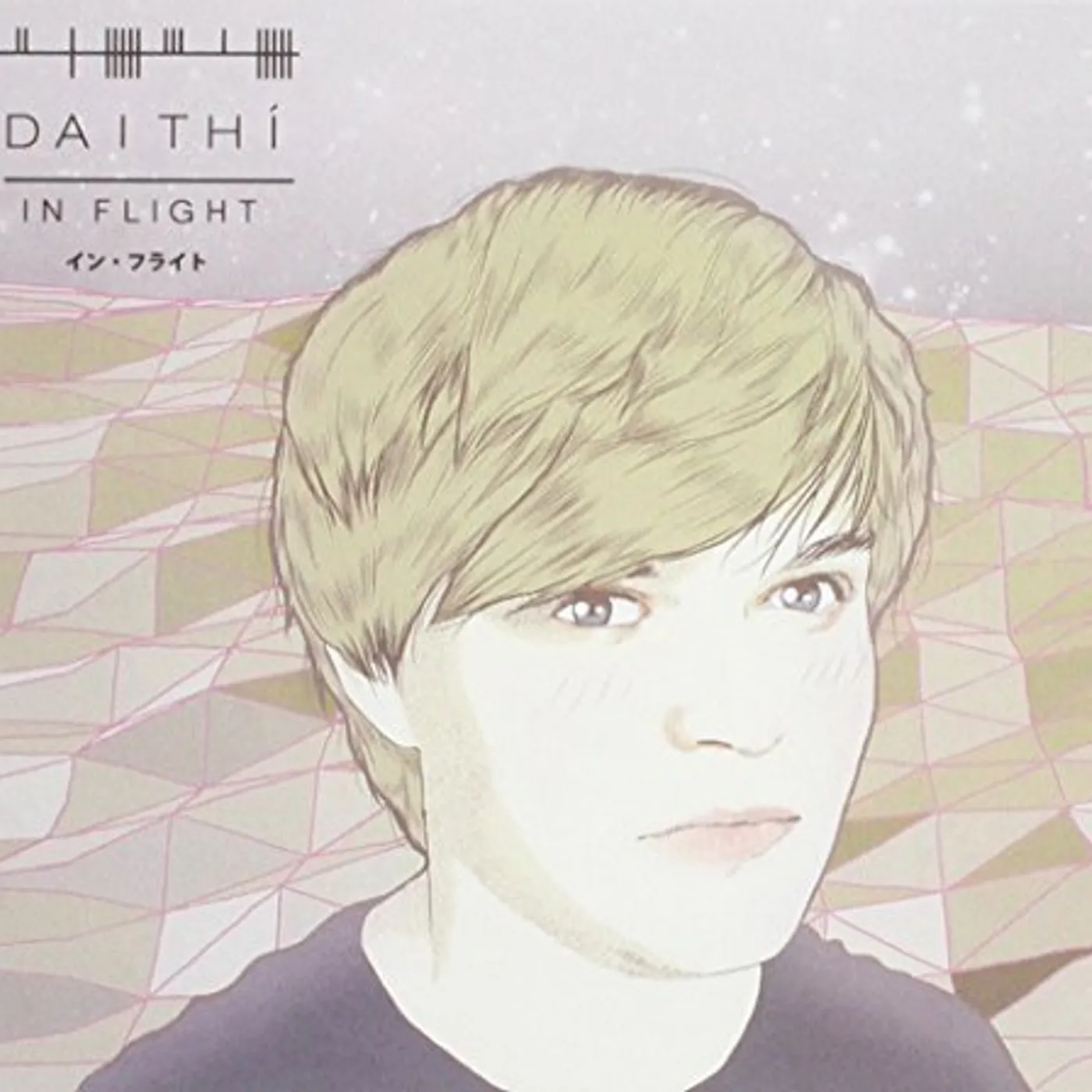 Daithi IN FLIGHT CD