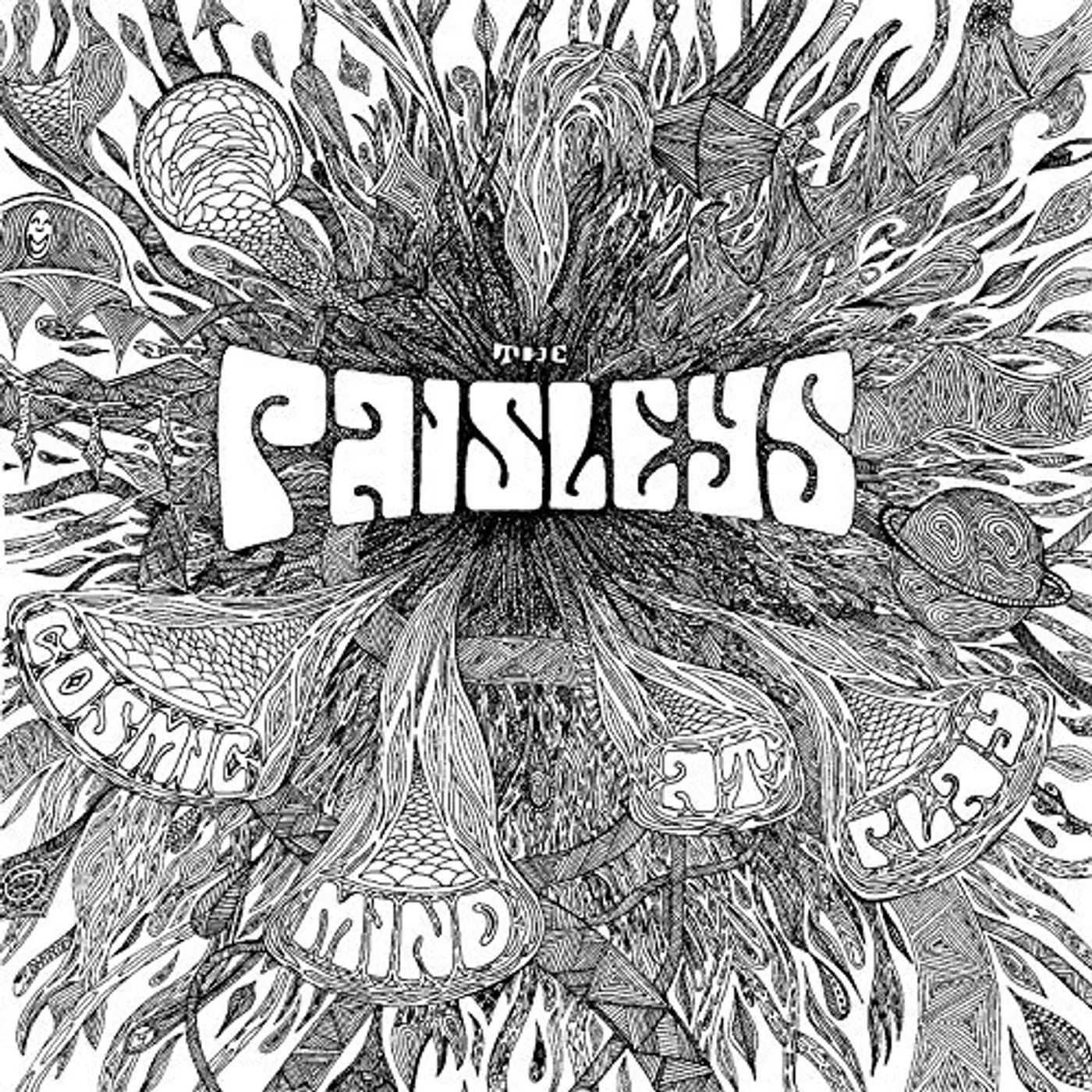 Paisley Cosmic Mind At Play Vinyl Record