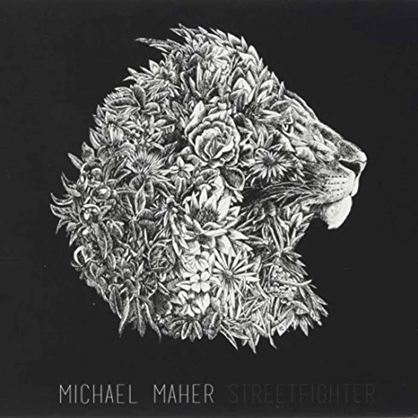 Michael Maher STREETFIGHTER CD