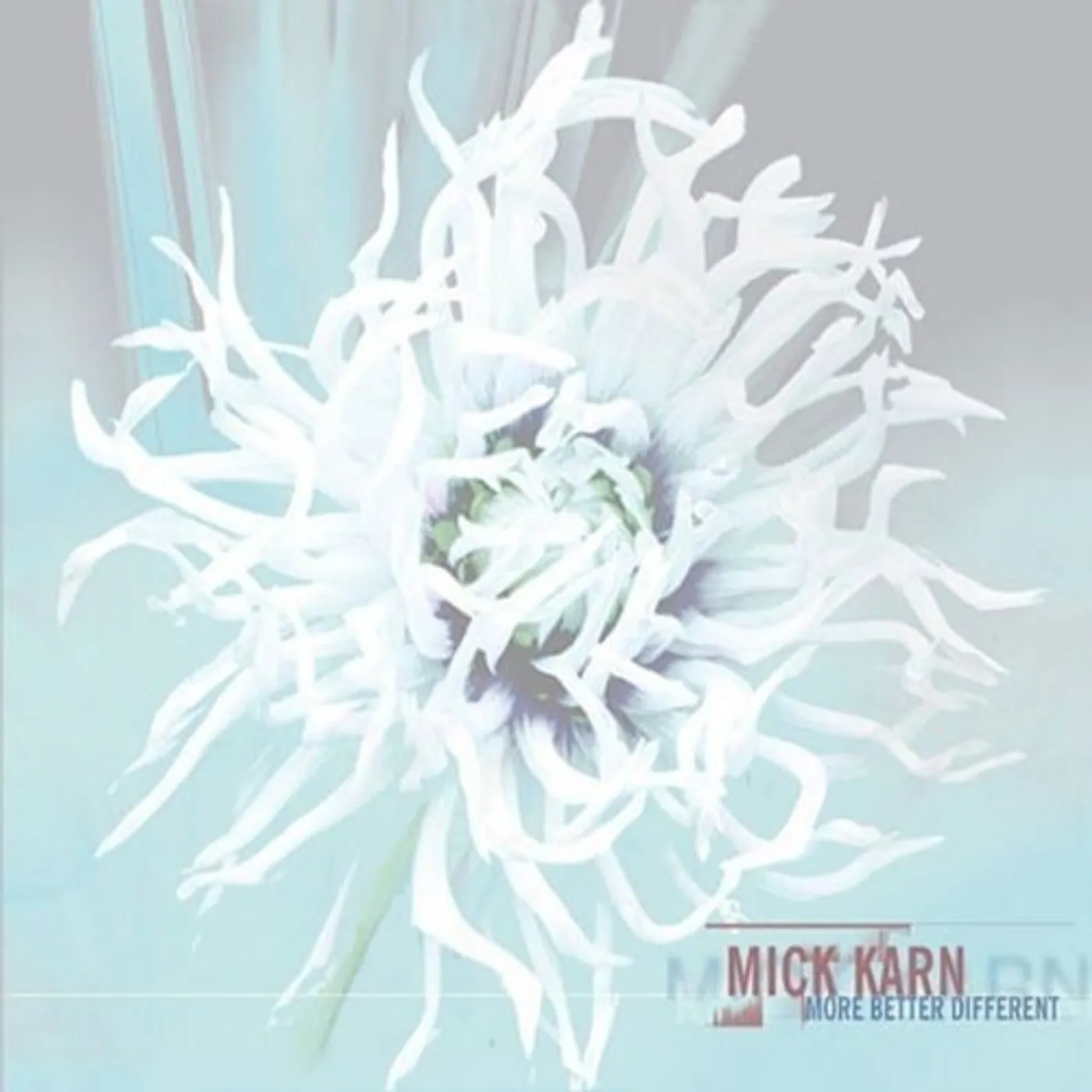Mick Karn More Better Different Vinyl Record