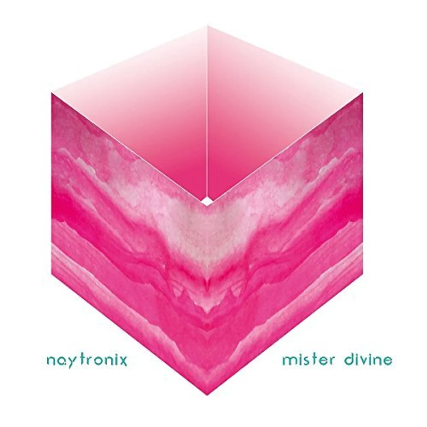 Naytronix Mister Divine Vinyl Record