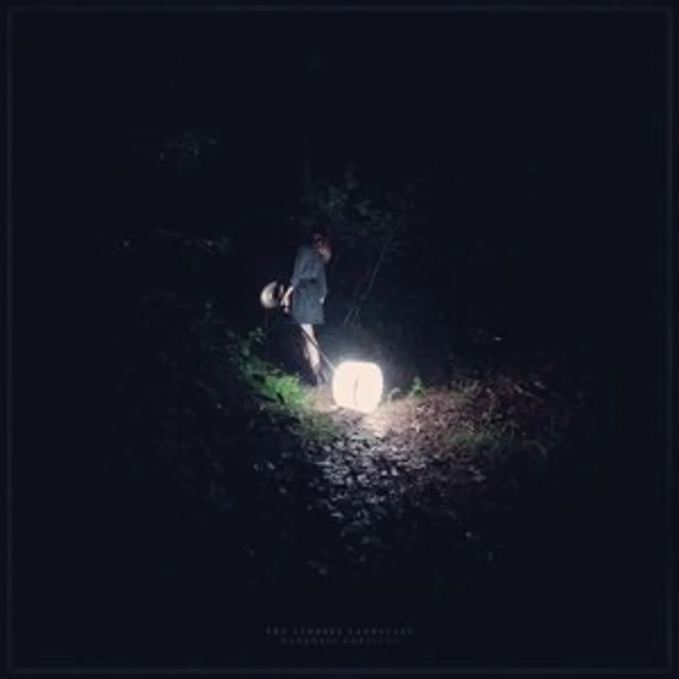 The Saddest Landscape Darkness Forgives Vinyl Record