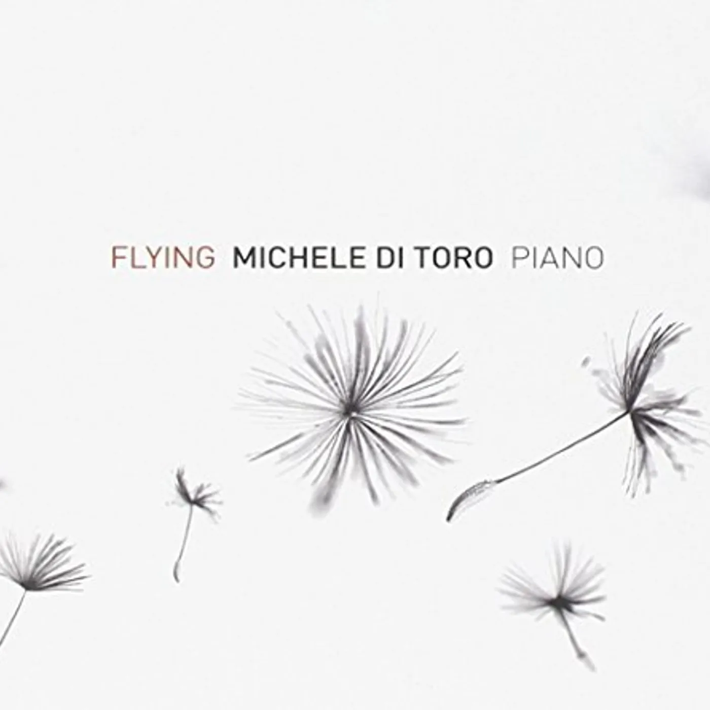 Michele Di Toro FLYING (PIANO SOLO) CD