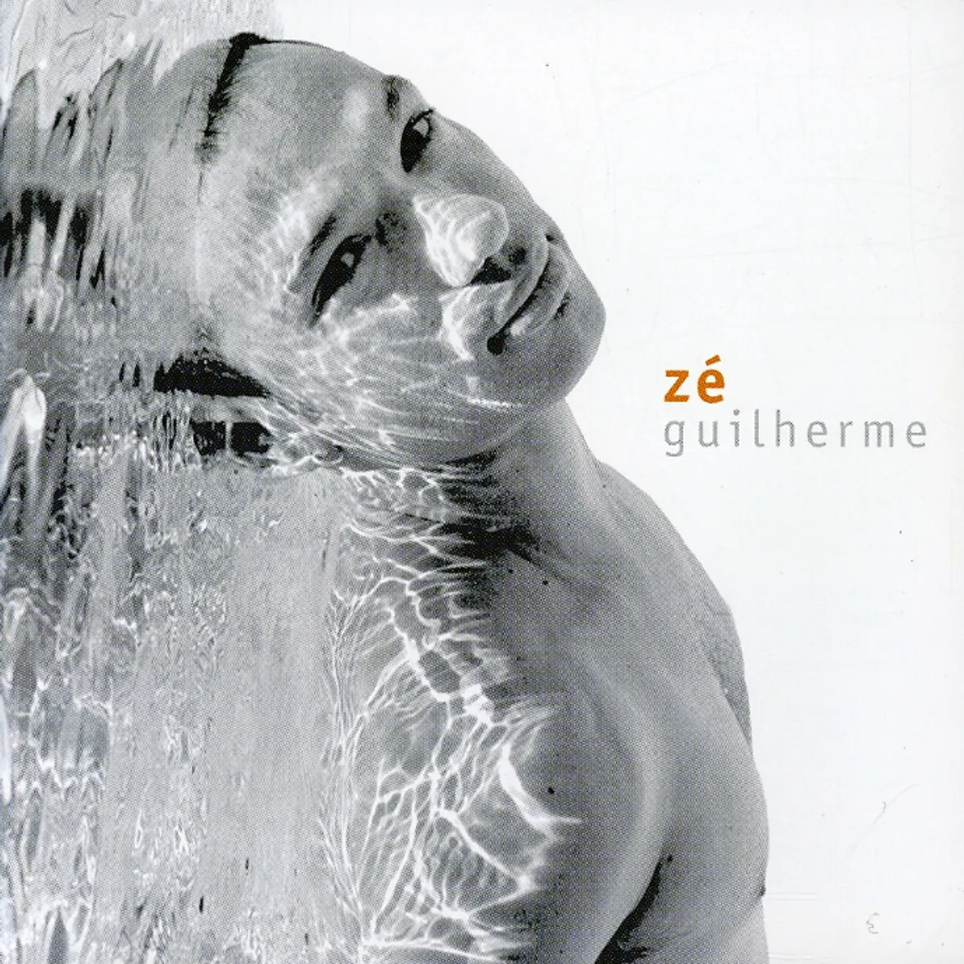 Zé Guilherme RECIPIENTE CD