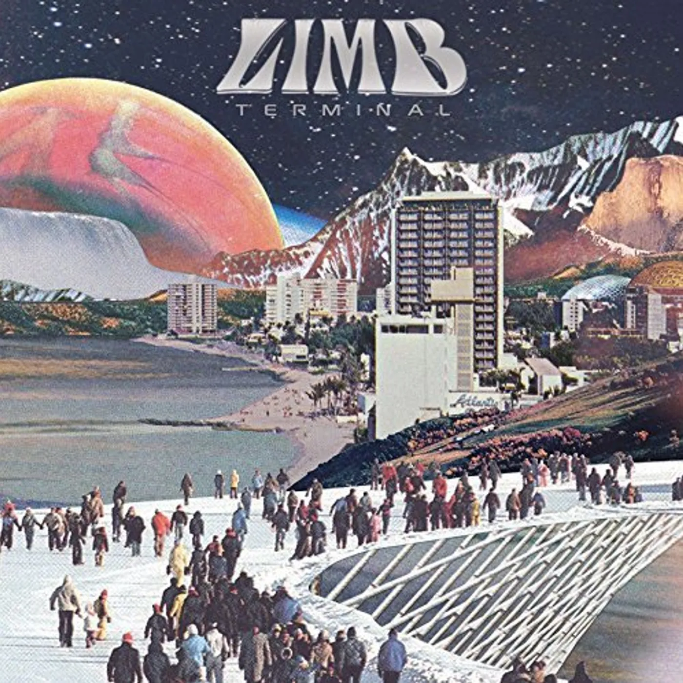Limb Terminal Vinyl Record