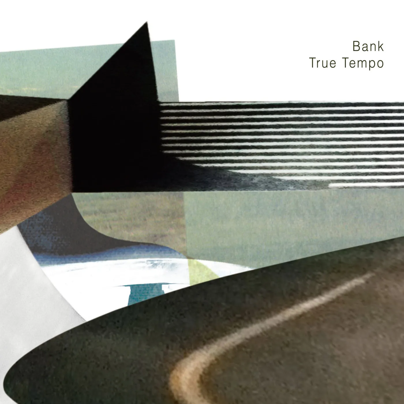 Bank True Tempo Vinyl Record