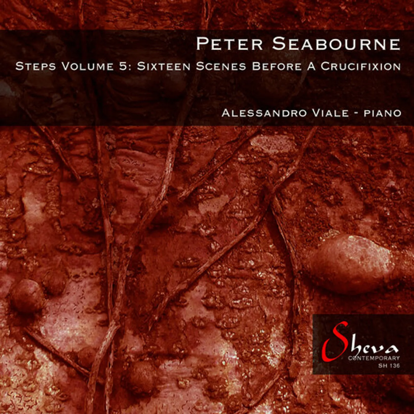 Alessandro Viale STEPS VOLUME 5: SIXTEEN SCENES BEFORE A CRUCIFIXIO CD