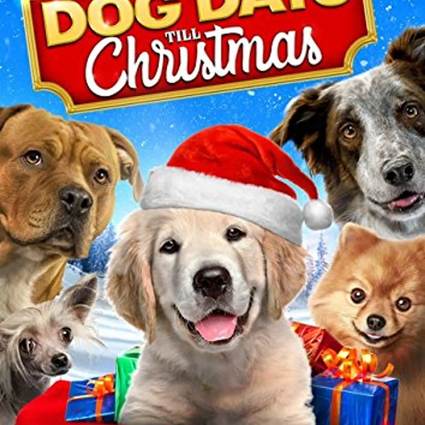 12 Dog Days Till Christmas DVD