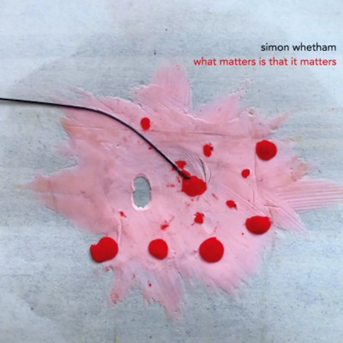 Simon Whetham WHAT MATTERS IS THAT IT MATTERS CD