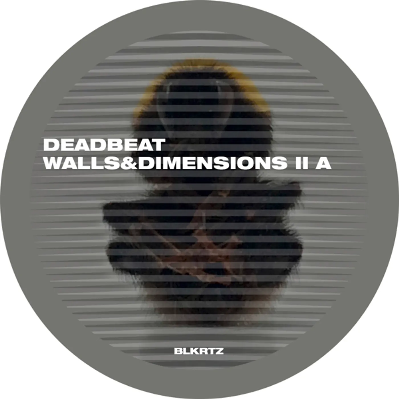 Deadbeat WALLS & DIMENSIONS II Vinyl Record