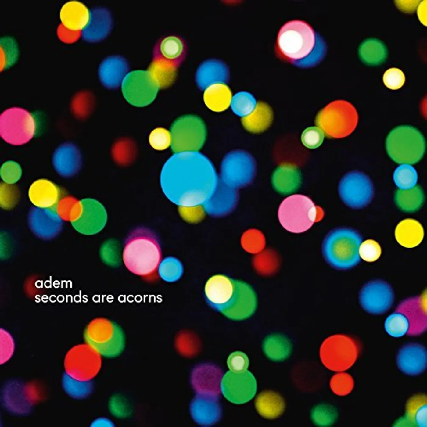 Adem seconds are acorns Vinyl Record