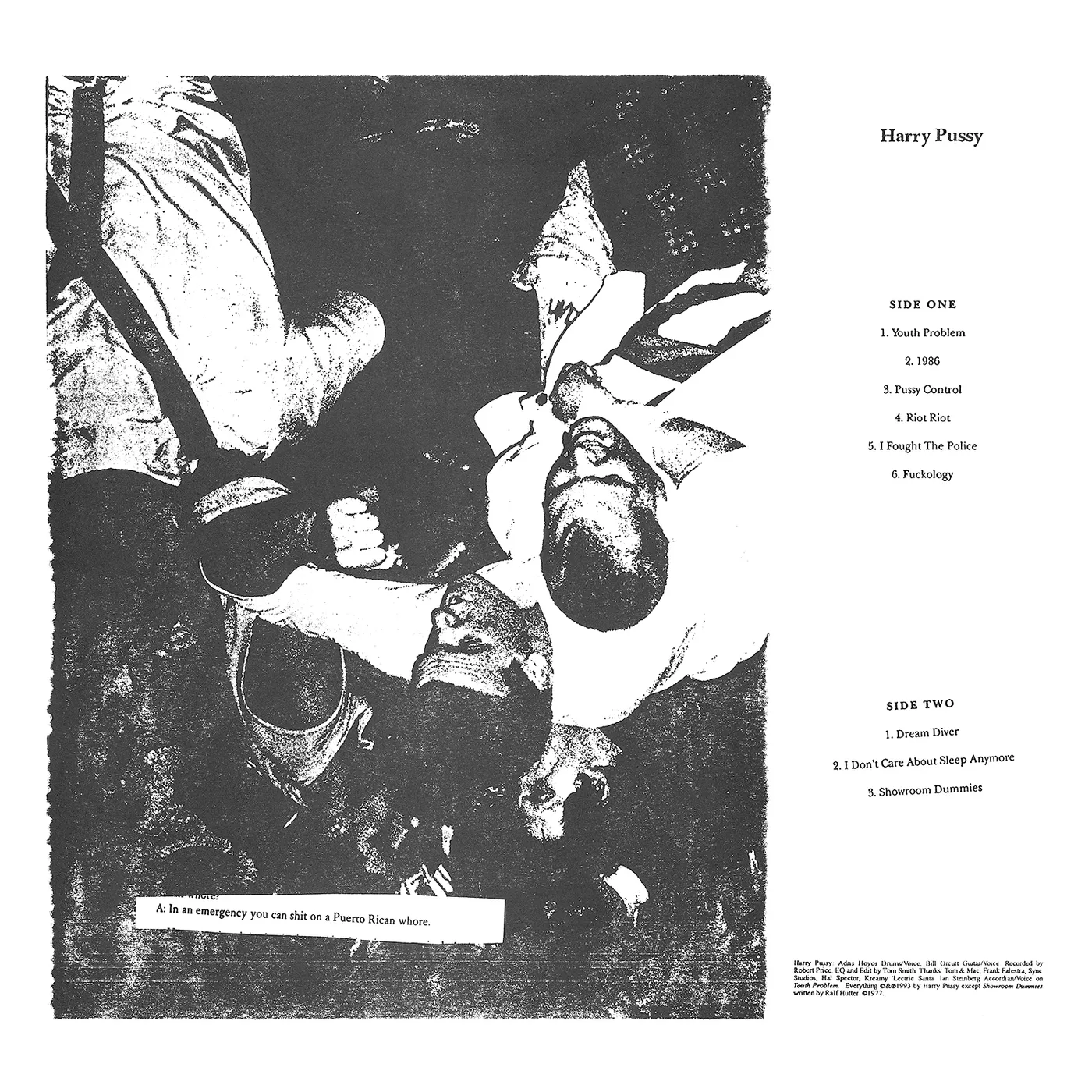 Harry Pussy Vinyl Record