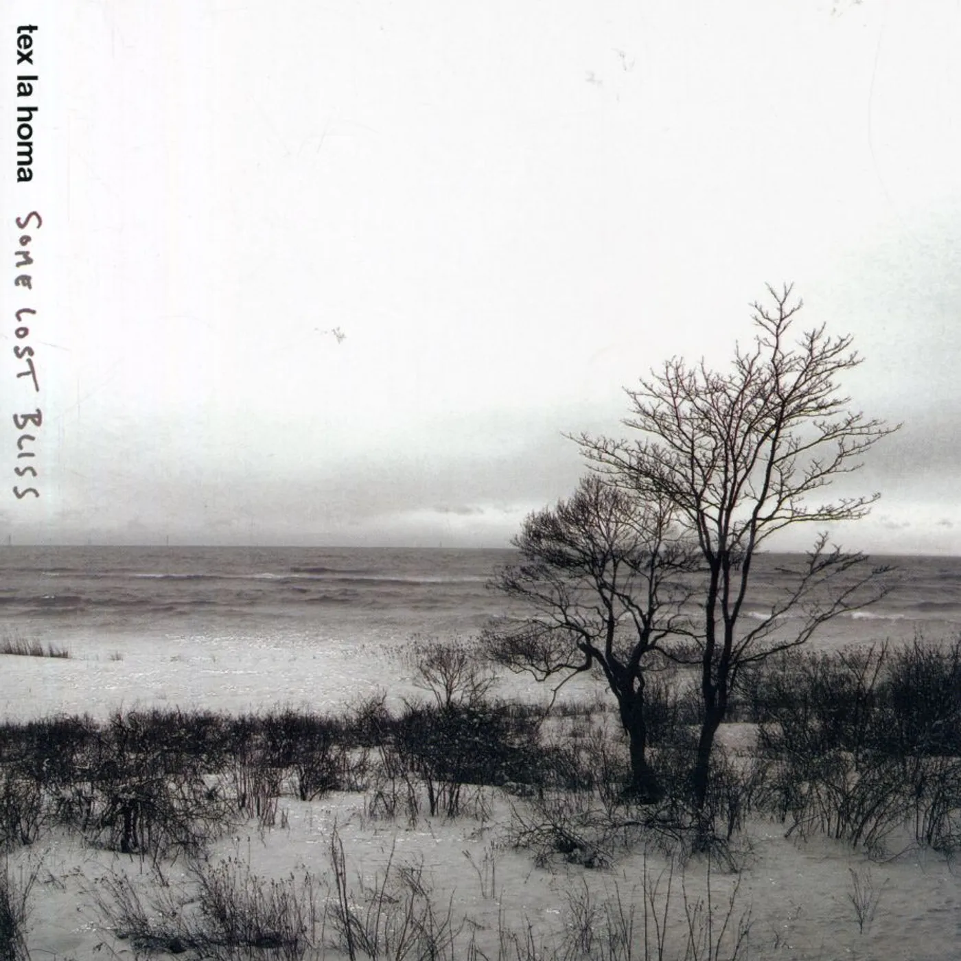 Tex La Homa SOME LOST BLISS CD