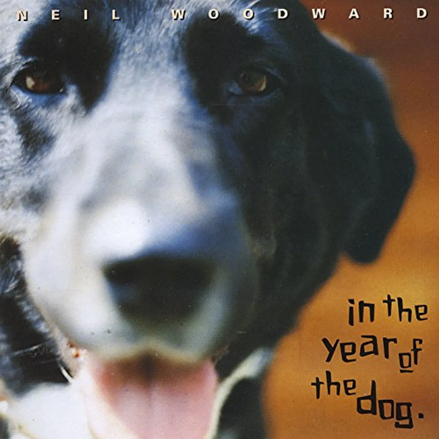 Neil Woodward IN THE YEAR OF THE DOG CD