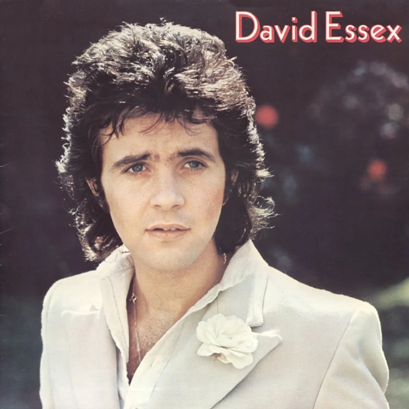 DAVID ESSEX CD