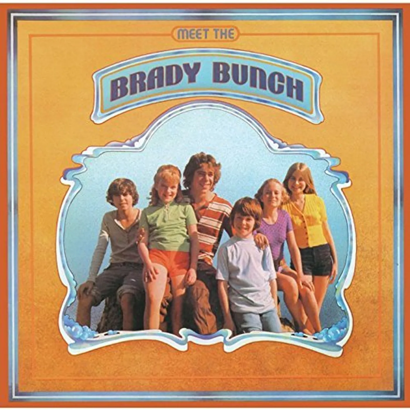 Meet The Brady Bunch Vinyl Record