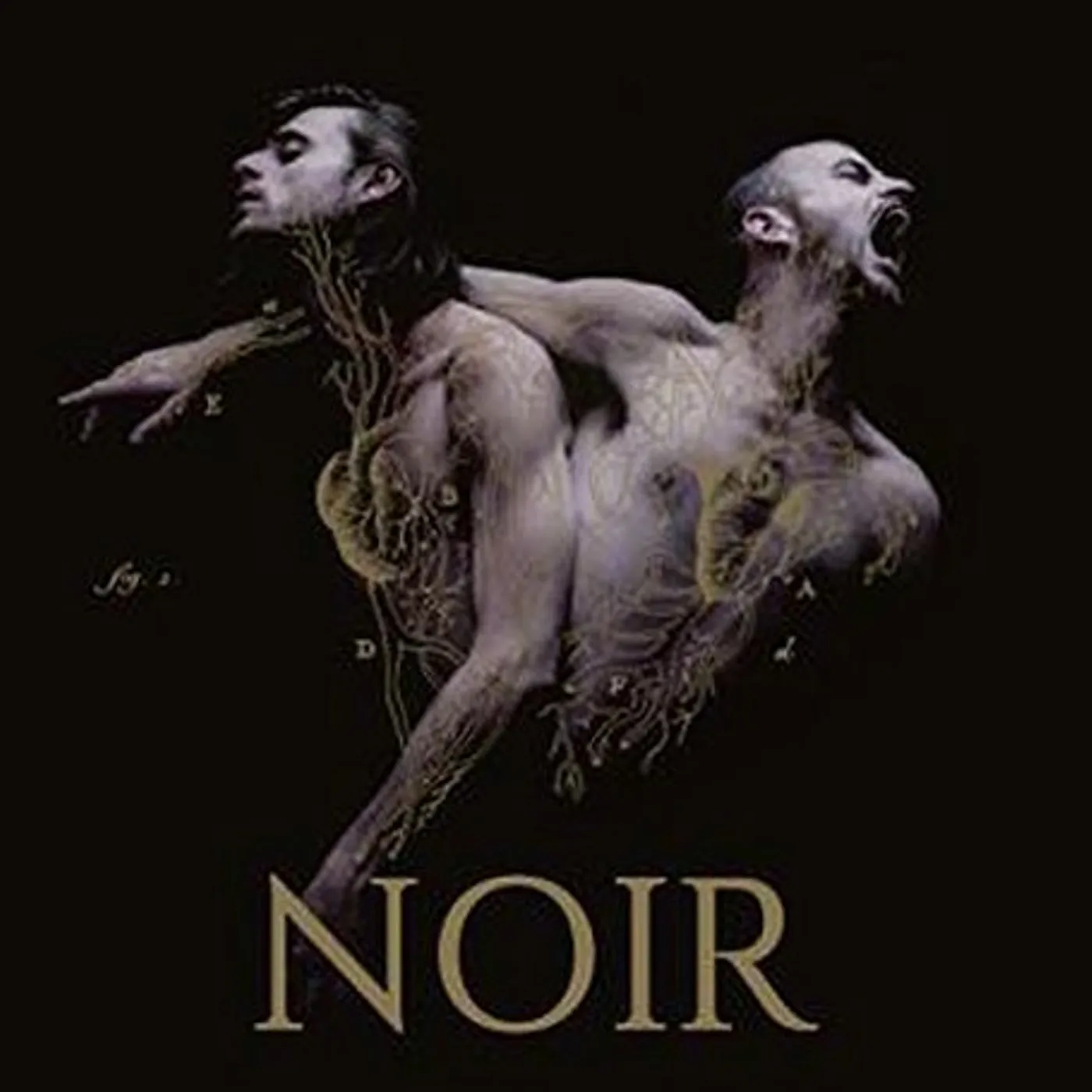 Heymoonshaker NOIR CD