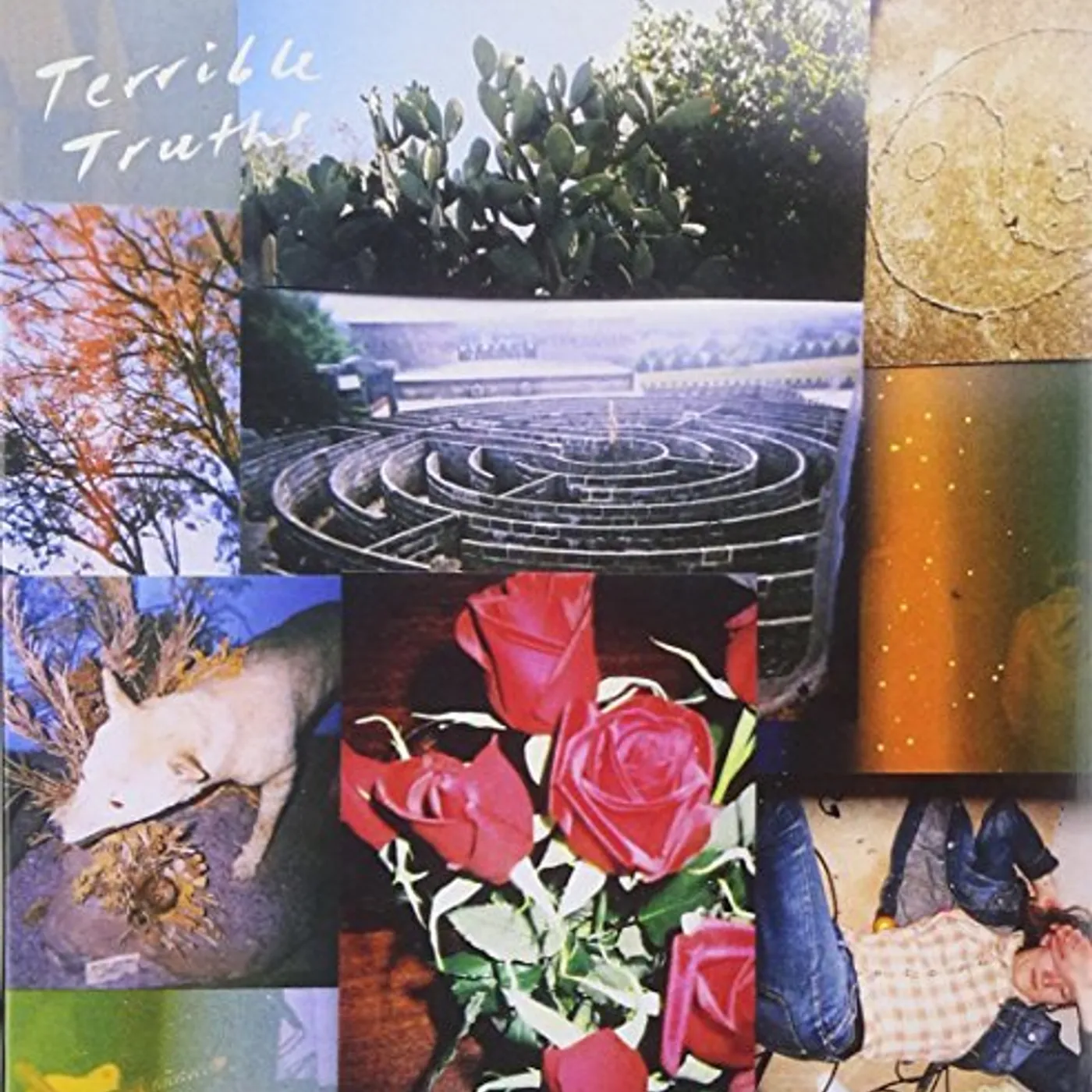 TERRIBLE TRUTHS CD
