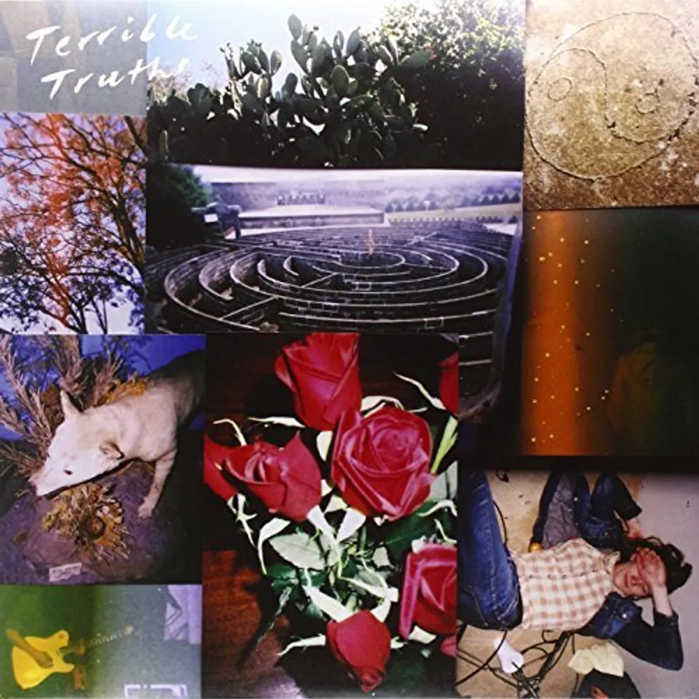 Terrible Truths Vinyl Record